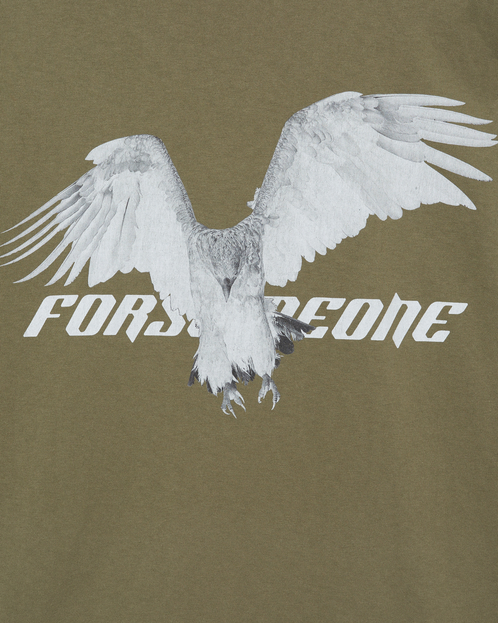 EAGLE TEE 24 詳細画像 Olive 18