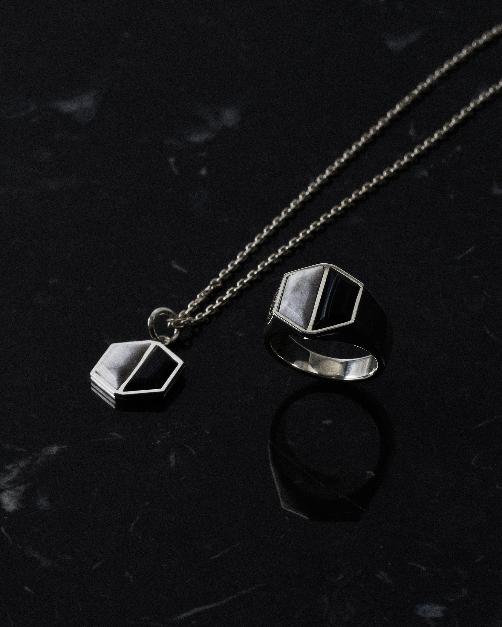 W TM NECKLACE ONYX  HOWLITE 詳細画像 Silver 2