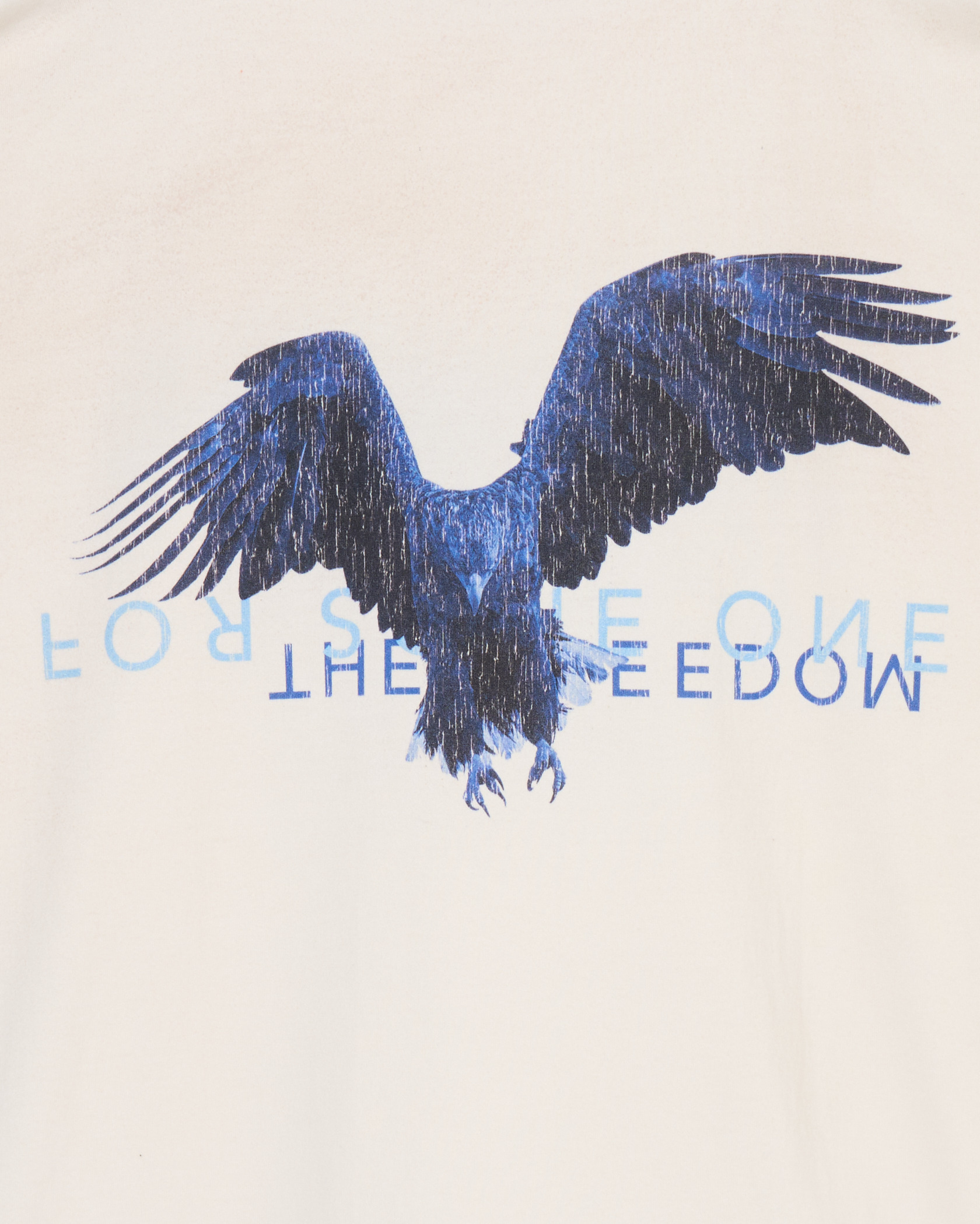 BLUE EAGLE TEE 詳細画像 Black 4
