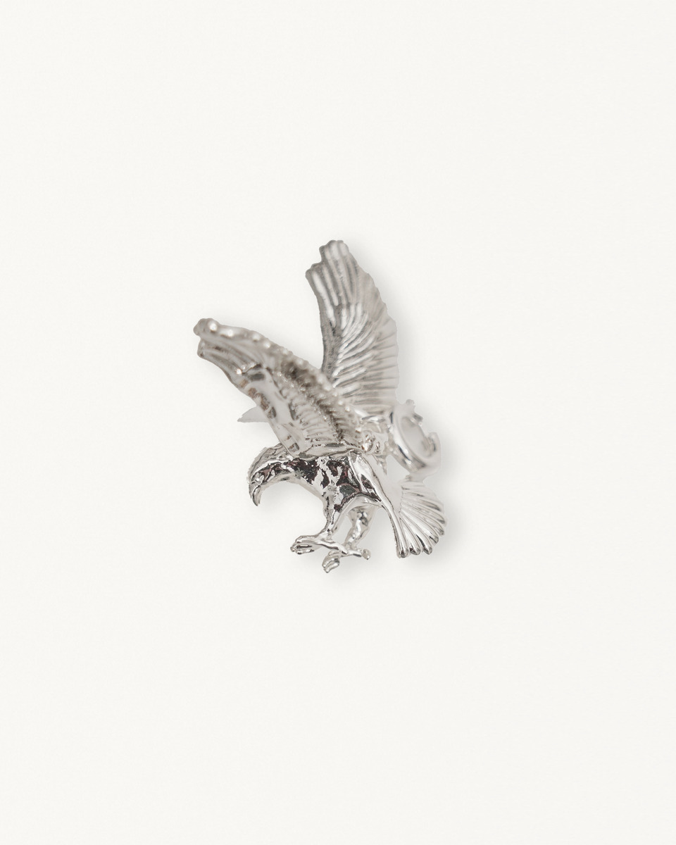 LF EAGLE CHARM 詳細画像 Silver 2